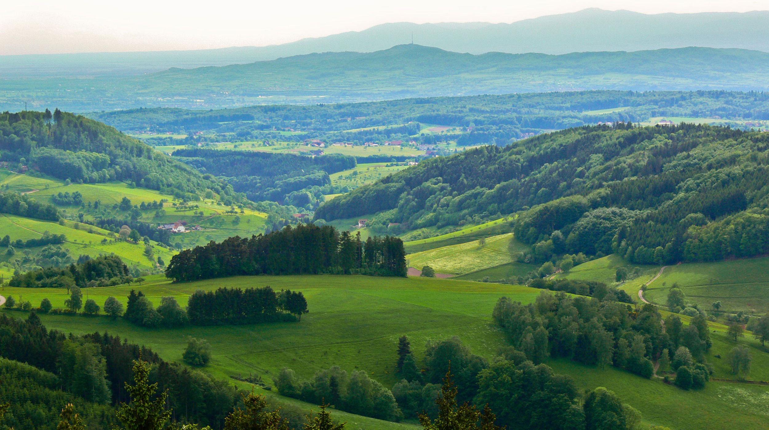 Kaiserstuhl